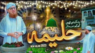 Ye Kehti Thi Ghar Ghar Mein Jakar Halima | New Rabi ul Awwal Special kalam 2023 | Abdul Habib Attari