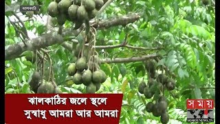 ঝালকাঠির জলে স্থলে সুস্বাধু আমরা আর আমরা | Hog Plum | Spondias Mombin