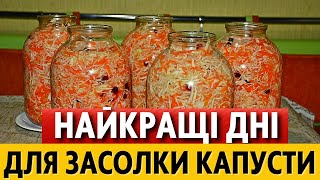 У ГРУДНІ 2023. Коли солити капусту, щоб була дуже смачною. Найкращі дати за місячним календарем!