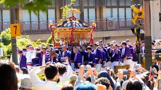 円覚寺たくさんの人③洪鐘祭(おおがねまつり)⚠5分半からお神輿に近寄るために画面ゆれ注意⚠雰囲気ダイジェスト