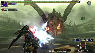 MHXX G4 07:00 沼地の冒険 獰猛化グラビモス ヘビィボウガン