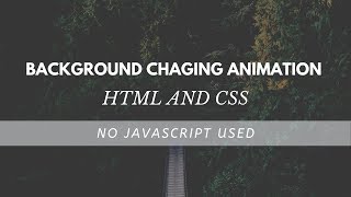 BACKGROUND COLOR CHANGING ANIMATION | HTML AND CSS |Beginners Tutorial