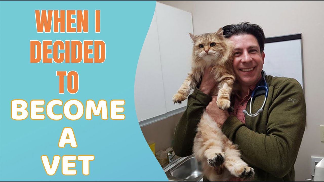 How I Decided To Become A Veterinarian Youtube