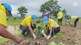 กิจกรรม “จิตอาสาพัฒนาชุมชนเอามื้อสามัคคี ” บ้านหนองปึ๋ง ตำบลจันจว้าใต้ อำเภอแม่จัน จังหวัดเชียงราย