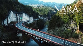 NARA JAPAN CINEMATIC DRONE 2.7K 30fps / Dji Mavic mini