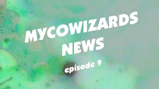 MycoWizards Broadcast: Ep 9 - 2/3/25