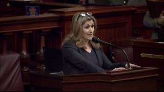 Rep Brown Comments On House Bill 37