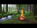 4k 📺 das ist ein echtes lagerfeuer im wald 🔥 beruhigende naturgeräusche 🌲 ultra hd