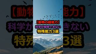 【動物の超能力】科学が解明できない特殊能力3選