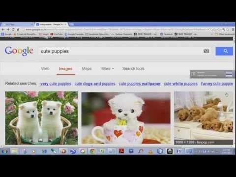 How to report an inappropriate image in Google Images. How to report an inappropriate image in Google Images.
