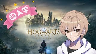 【ホグワーツレガシー】さて、魔法学園に入学します【hogwartsLegacy】