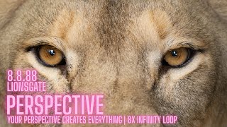 Shift Your Perspective, Shift Your Reality | Law of Perspective (8.8.88 Lionsgate)