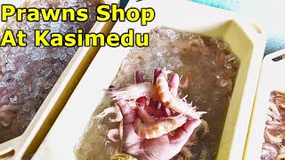 Kasimedu prawn shed||Detail in description|| மொத்தமாக சில்லறையாக இறால் கிடைக்குமிடம்||#rvs 527