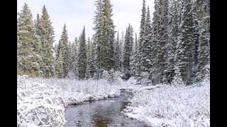 Heavy mountain snow, gusty winds and pass travel impacts tonight; Winter Storm Warnings