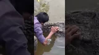 Unbelievable Reunions: A Hero's Bond with a Crocodile and a Swan!