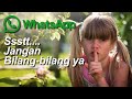 Cara keluar Grup WhatsApp tanpa ketahuan anggota lain