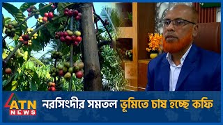 নরসিংদীর সমতল ভূমিতে চাষ হচ্ছে কফি | Coffee | Narsingdi | ATN News