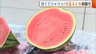 「シャリシャリして甘い！」夏の味覚・スイカ“祭ばやし”約３０００個が競りに【新潟】 (23/06/01 18:47)