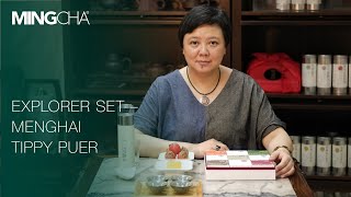 MINGCHA EXPLORER SET - MENGHAI TIPPY PUER