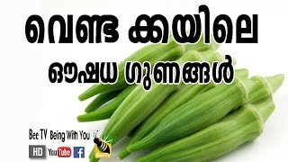 വെണ്ടക്കയിലെ ഔഷധഗുണങ്ങൾ VENDAKKAYILE OUSHADHA GUNANGAL