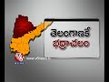 no need for constitution amendment on telangana