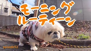 モーニングルーティーン犬のいる暮らし　Koharu's morning routine