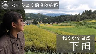 【里山散歩＃2】新潟県三条市下田を野草を探す 後編【たけちょう商店散歩部】