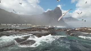 Duiker Island (Seal Island), Cape Town South Africa DJI Air 2S 5K