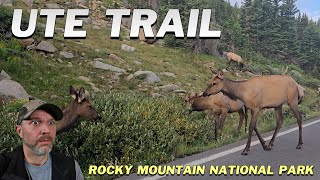 Best Bang for the Buck Hike in RMNP! Hiking Ute Trail [Rocky Mountain National Park]