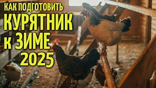 Как ПОДГОТОВИТЬ КУР и КУРЯТНИК К ЗИМЕ 2025