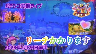 【パチンコ実機配信】P大海物語4スペシャル BLACK-ブラック　2023年2月20日前半　ライブ