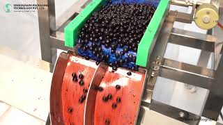 Fully Automatic Blueberry Clamshell Packing Machine | Filling, Closing & Labeling