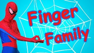 Finger Family Superheroes & Five Little Ducks  Songs - Nursery Rhymes for Kids  - BiBu TV