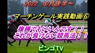 2022　10月後半　【競馬】【マーチンゲール法】【実践】⑥　複勝でもいいんです！！　これが負けない馬券法！！