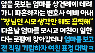 (신청사연) 앞을 못 보는 엄마를 상견례에 데려가니 파혼하자는 변호사 예비 아내 \