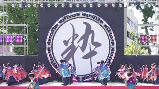 [4K] 早稲田大学よさこいチーム東京花火　1回目　富山のよさこい祭り 2023 日曜日