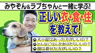 【🙋‍♀️みやぞんと一緒に学ぶ❗️⑦】ワンちゃんが快適に思える暮らし。正しい衣・食・住とは？