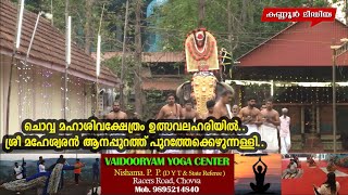 ചൊവ്വ മഹാശിവക്ഷേത്രം ഉത്സവലഹരിയിൽ.. ശ്രീ മഹേശ്വരൻ ആനപ്പുറത്ത് പുറത്തേക്കെഴുന്നള്ളി..