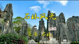 石林风光 Stone Forest Scenery