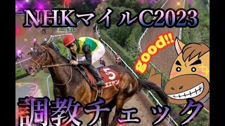 【anatube】NHKマイルC2023調教チェック、追い切り診断！浅次郎の特A評価はシャンパンカラー！オールパルフェ！イマイチ馬・調教爆穴は？