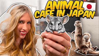 VISITING an ANIMAL CAFE in TOKYO JAPAN...