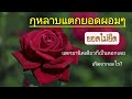 กุหลาบแตกยอดสั้นๆเกิดจากอะไร | EP.319 | คลิปนี้มีคำตอบ