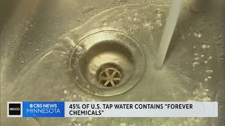 New study finds almost half of U.S. tap water has forever chemicals