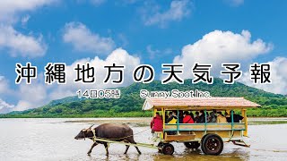 2024/12/14 沖縄地方の天気予報 朝