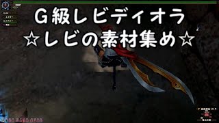 【MHF G】　Akiの日常　第２９弾　見た目装備でG級レビディオラ　☆レビの素材集め☆