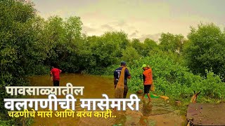 काय मिळालं वलगणीच्या मासेमारीत? चढणीचे मासे | चिवणी मासा | Fishing in the rainy season