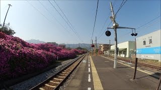 よりぬき もみさんぽ・豊浜駅つつじ祭り【香川県観音寺市豊浜町姫浜】（平成28年・2016）