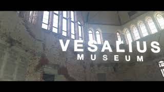 Vesalius Museum: Neem een kijkje op de werf