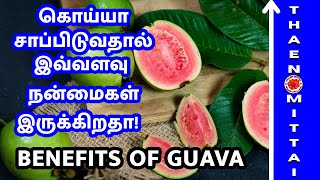 கொய்யா சாப்பிடுவதால் இவ்வளவு நன்மைகள் இருக்கிறதா! | Health Benefits of Guava | #thaenmittaistories