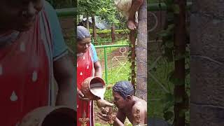 Araku Tribal museum #shorts #ytshorts #Vijayalakshmi entertainments